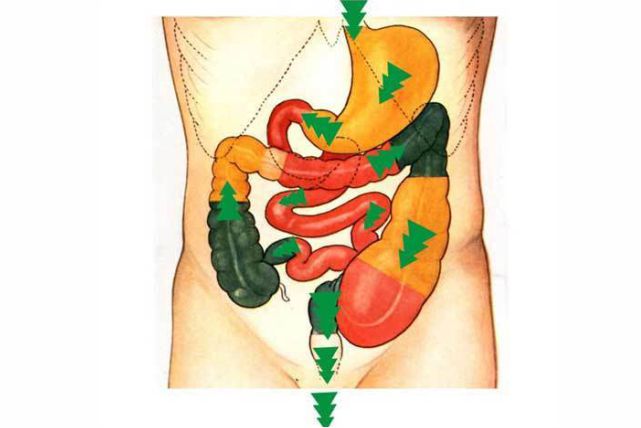 Panchakarma Treatment at Rog Nivaran Hospital